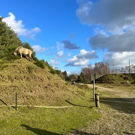 Апартаменты Telmi- Mit Terrasse & Glasfaser *