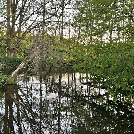 Apartamento Telmi- Mit Terrasse & Glasfaser *