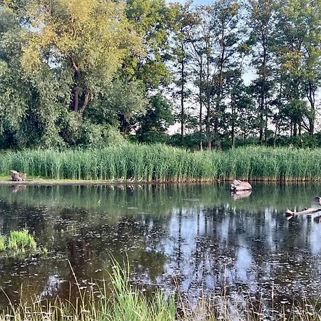 Telmi- mit Terrasse&Glasfaser *