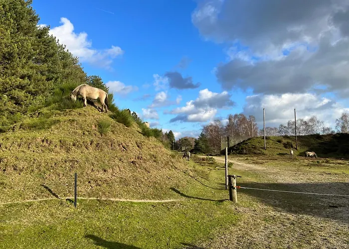 Lejlighed Telmi- mit Terrasse&Glasfaser *