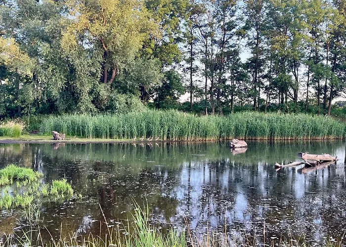 Telmi- mit Terrasse&Glasfaser *